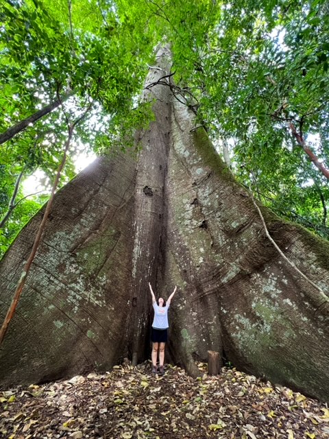 Trilha da Vovózona na floresta nacional de tapajós pará