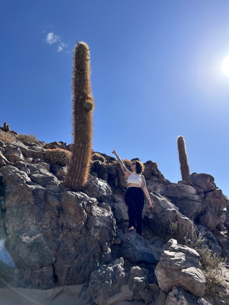 Cactos gigantes centenários sobre formação rochosa no deserto do Atacama, Chile