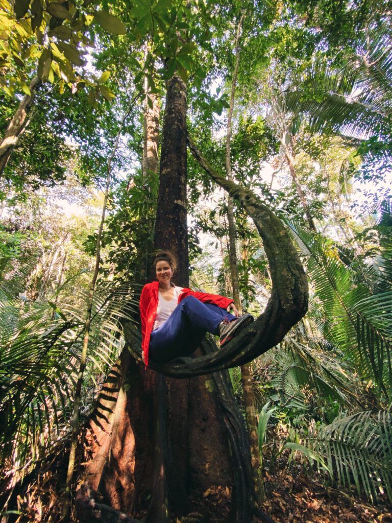 Cipó grande na trilha dentro da floresta amazônica
