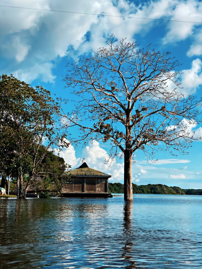 Construção às margens do rio com a água batendo na base, na Amazônia