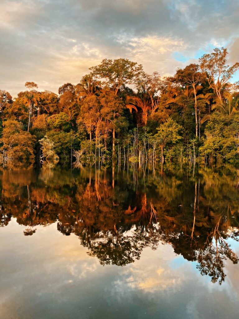 Floresta amazônica inteira refletida na água parada do rio