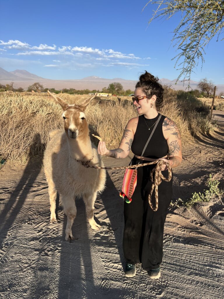 Mulher caminhando com lhamas no deserto do Atacama