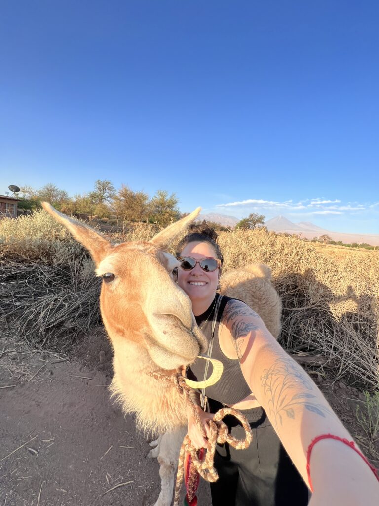 Selfie com uma lhama no deserto do Atacama, norte do Chile