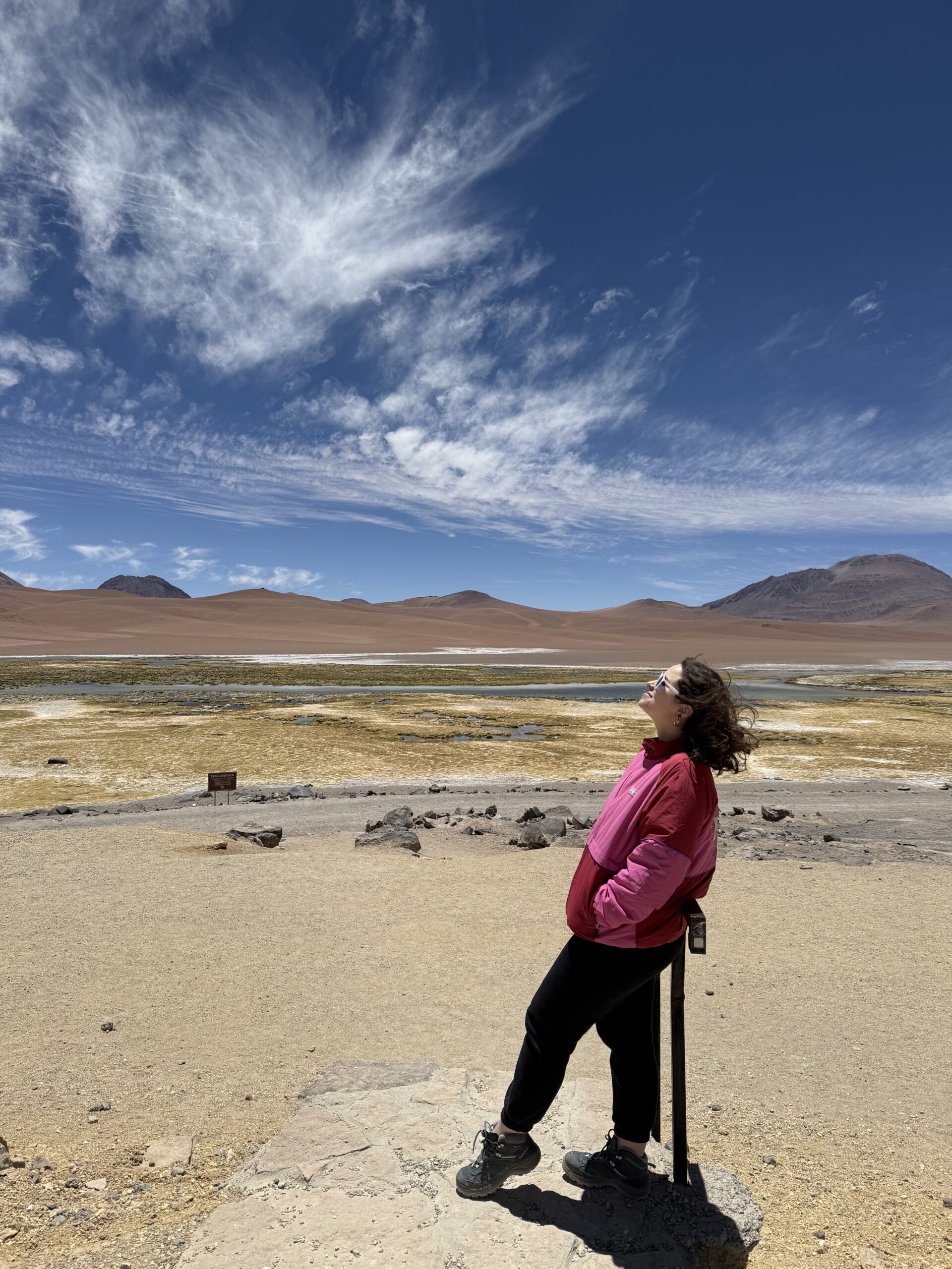 Mulher no altiplano do Atacama com vulcões e vegetação seca ao fundo