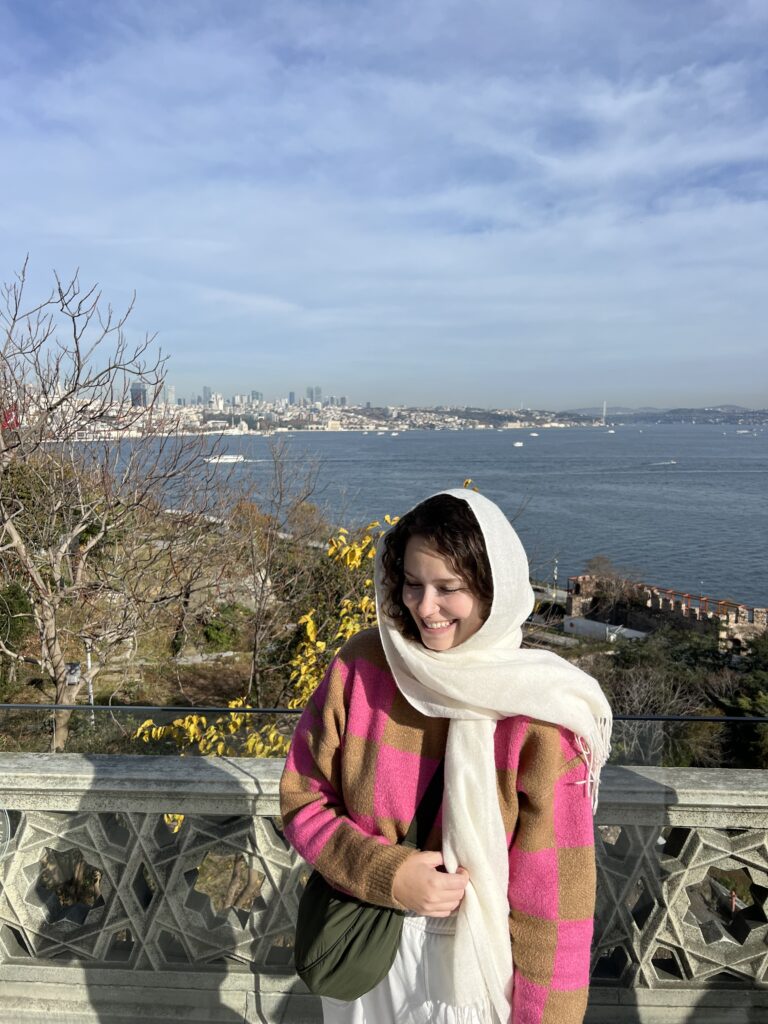 Vista do Bósforo e do skyline de Istambul