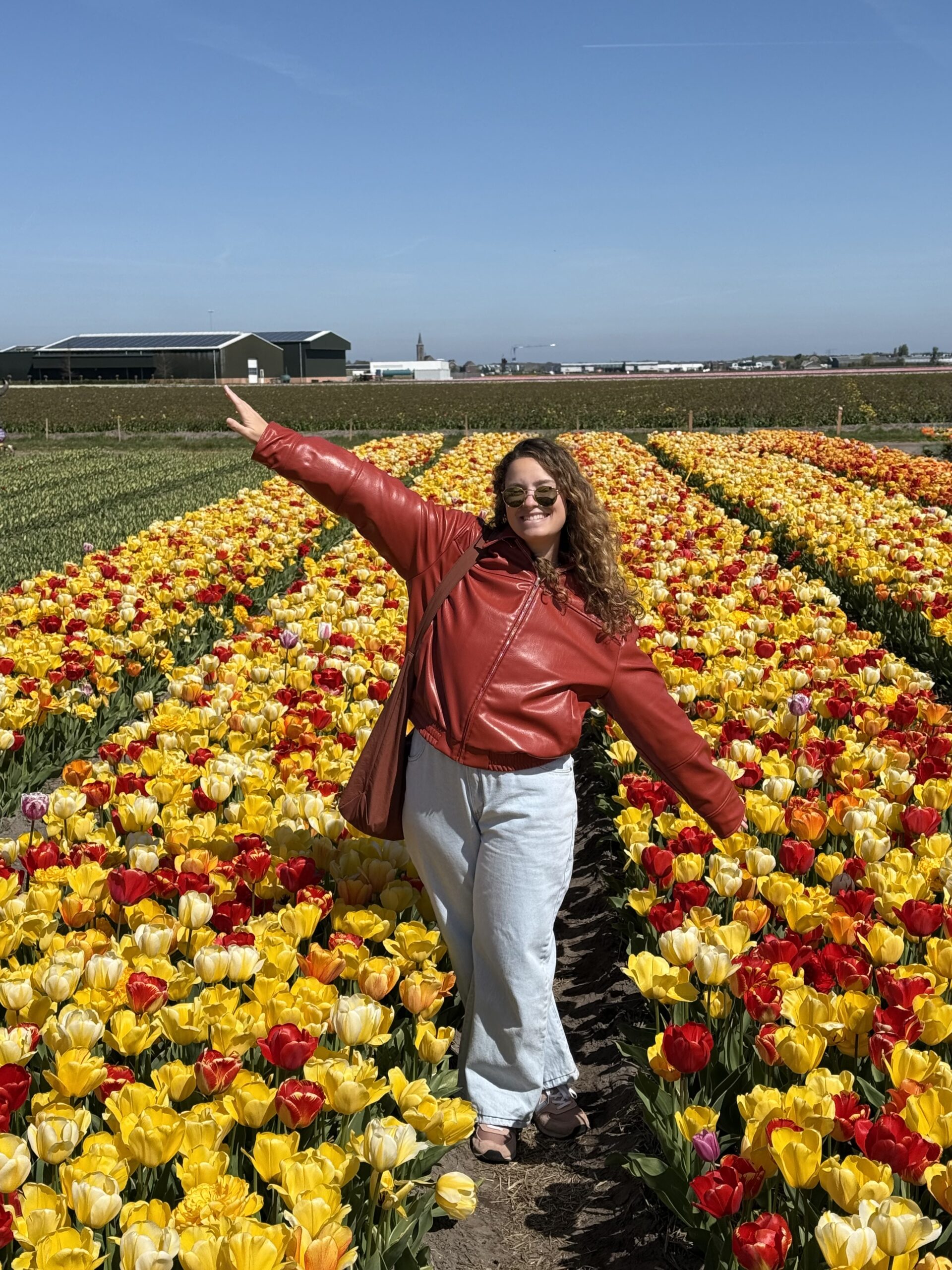 Jéssica de braços abertos em um campo de tulipas amarelas e vermelhas perto de Amsterdam, na Holanda