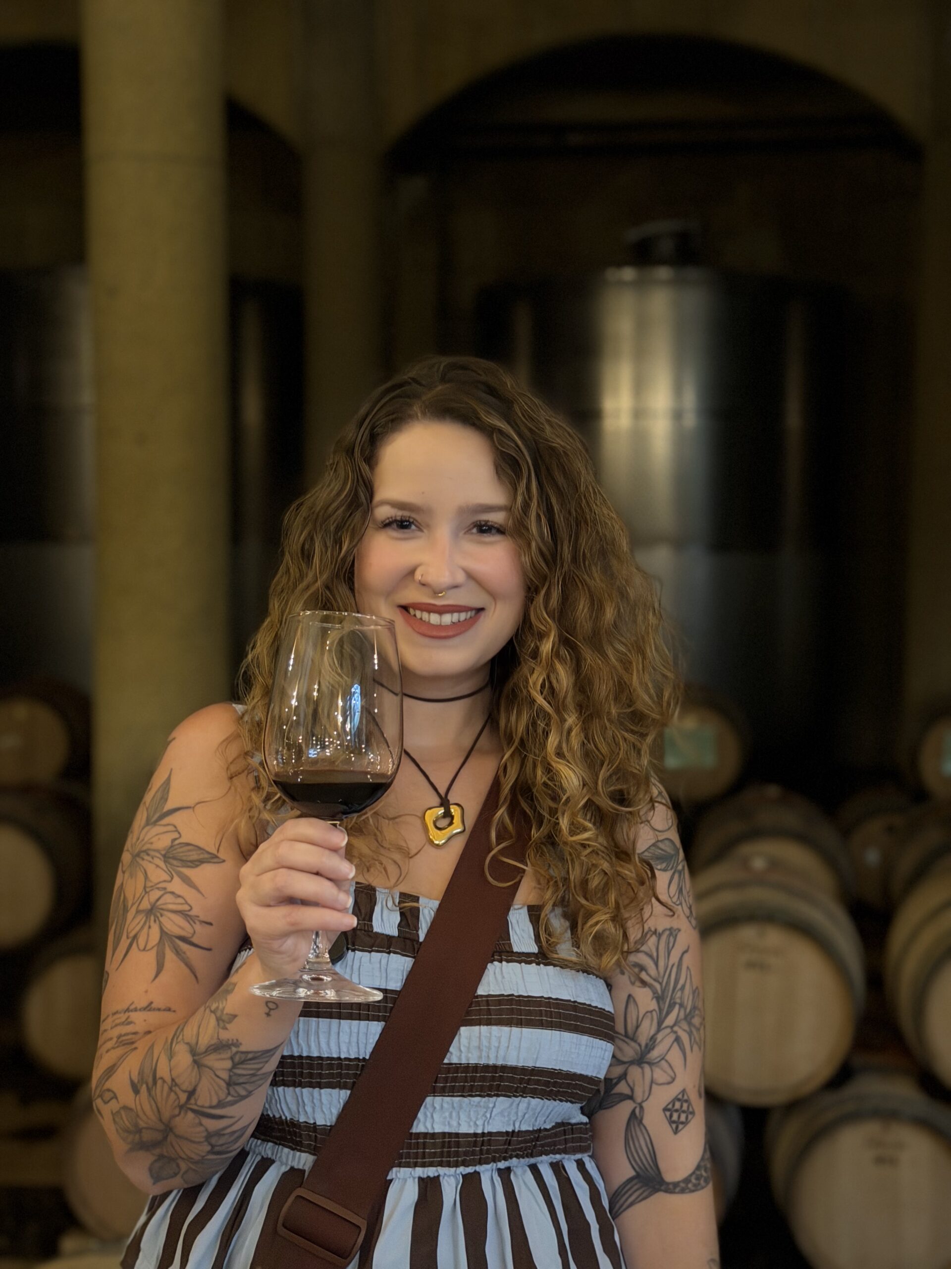 Degustação de vinho tinto na sala de barris de uma vinícola perto de Santiago do Chile