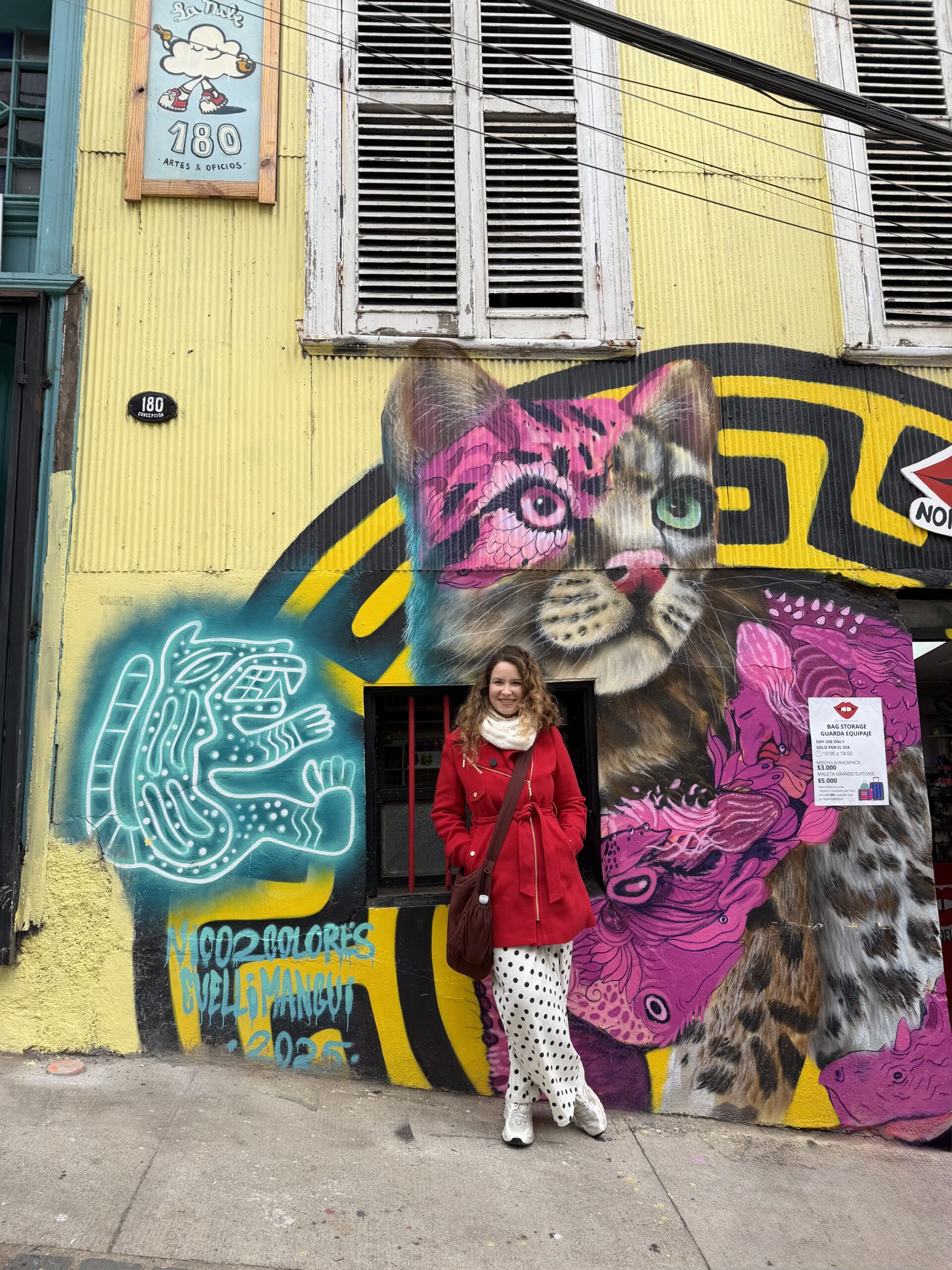 Mural coloridMural de arte de rua com um gato colorido em parede amarela nos morros de Valparaíso, no Chileo em parede de casa amarela nos morros de Valparaíso, no Chile